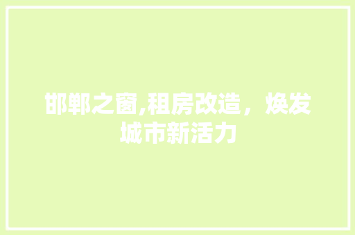 邯郸之窗,租房改造，焕发城市新活力