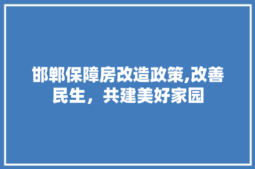 邯郸保障房改造政策,改善民生，共建美好家园 墙体维修