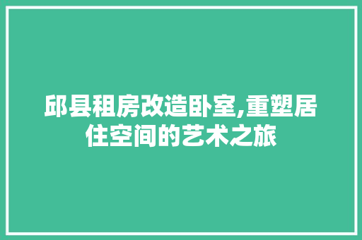 邱县租房改造卧室,重塑居住空间的艺术之旅 墙体维修
