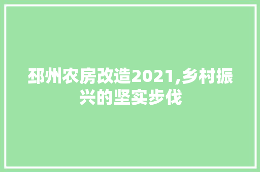 邳州农房改造2021,乡村振兴的坚实步伐 墙体维修