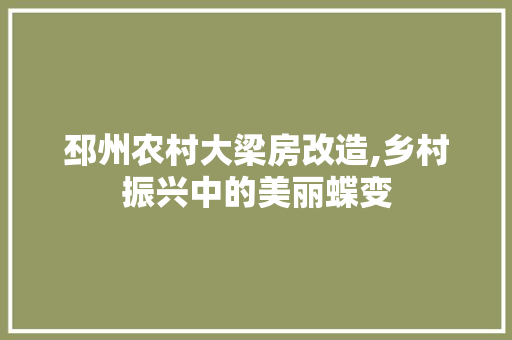 邳州农村大梁房改造,乡村振兴中的美丽蝶变 家电维修