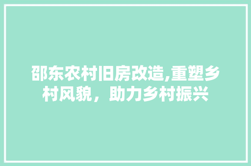 邵东农村旧房改造,重塑乡村风貌，助力乡村振兴 厨房维修
