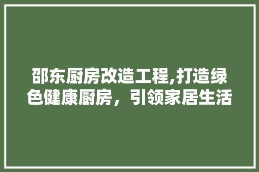 邵东厨房改造工程,打造绿色健康厨房，引领家居生活新风尚 家电维修