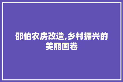 邵伯农房改造,乡村振兴的美丽画卷 墙体维修