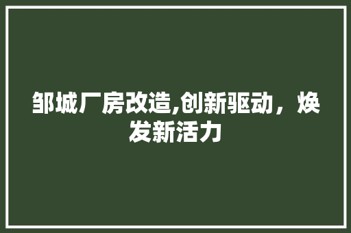 邹城厂房改造,创新驱动，焕发新活力
