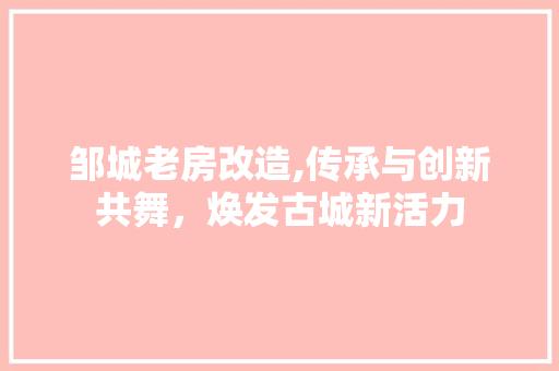 邹城老房改造,传承与创新共舞，焕发古城新活力