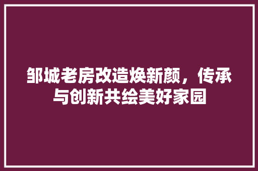 邹城老房改造焕新颜，传承与创新共绘美好家园