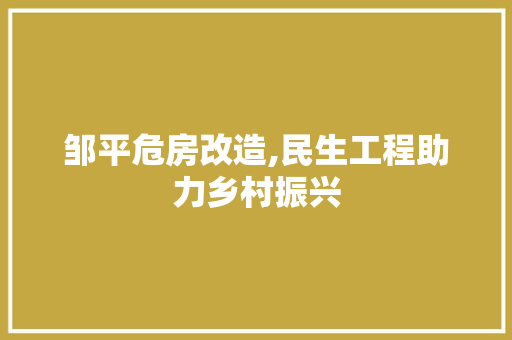 邹平危房改造,民生工程助力乡村振兴