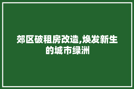 郊区破租房改造,焕发新生的城市绿洲 汽车维修