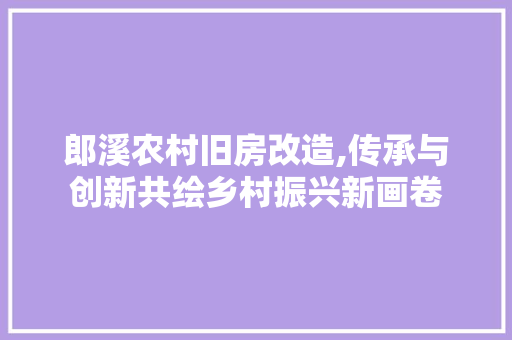 郎溪农村旧房改造,传承与创新共绘乡村振兴新画卷 家电维修