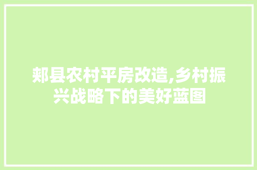 郏县农村平房改造,乡村振兴战略下的美好蓝图 墙体维修