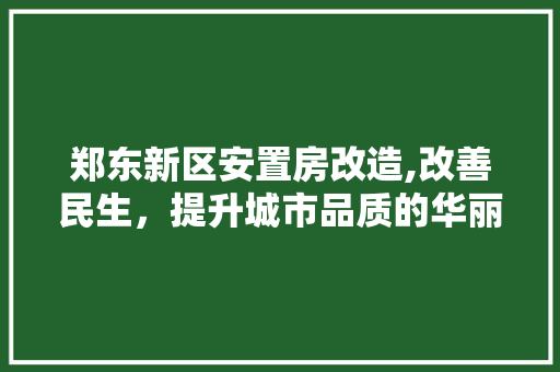 郑东新区安置房改造,改善民生，提升城市品质的华丽转身 综合便民