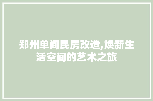 郑州单间民房改造,焕新生活空间的艺术之旅 综合便民