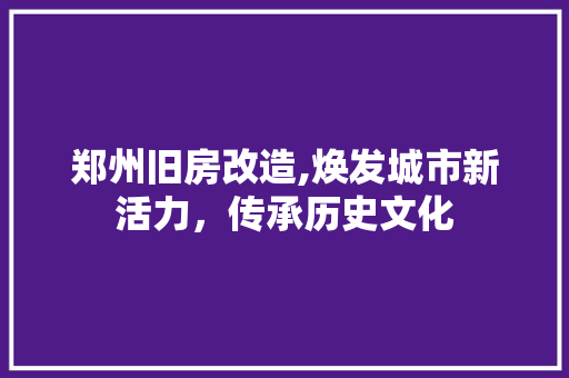 郑州旧房改造,焕发城市新活力，传承历史文化 墙体维修