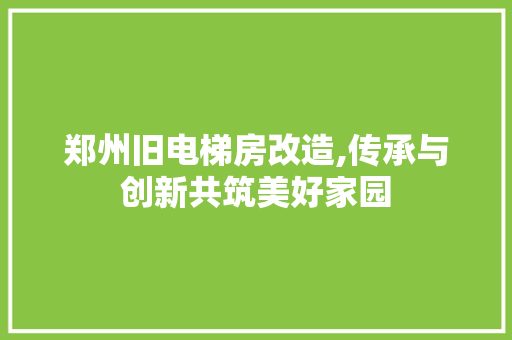郑州旧电梯房改造,传承与创新共筑美好家园 家电维修