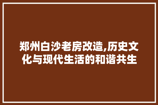 郑州白沙老房改造,历史文化与现代生活的和谐共生