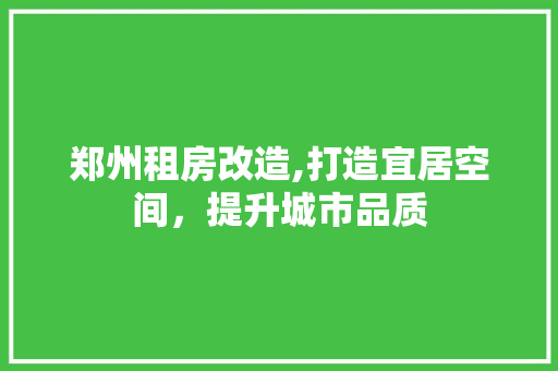 郑州租房改造,打造宜居空间，提升城市品质