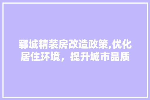 郓城精装房改造政策,优化居住环境，提升城市品质