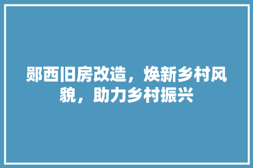 郧西旧房改造，焕新乡村风貌，助力乡村振兴