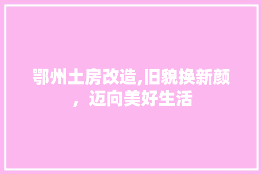 鄂州土房改造,旧貌换新颜，迈向美好生活 厨房维修