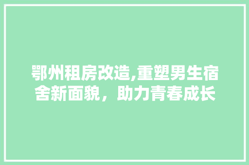鄂州租房改造,重塑男生宿舍新面貌，助力青春成长 厨房维修