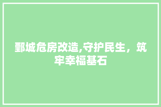 鄄城危房改造,守护民生，筑牢幸福基石 厨房维修