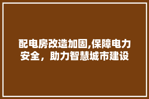 配电房改造加固,保障电力安全，助力智慧城市建设 厨房维修