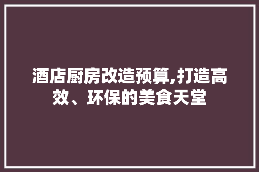 酒店厨房改造预算,打造高效、环保的美食天堂 厨房维修