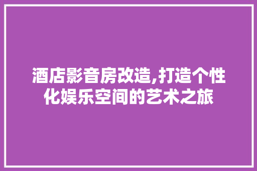 酒店影音房改造,打造个性化娱乐空间的艺术之旅 厨房维修