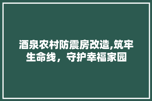 酒泉农村防震房改造,筑牢生命线，守护幸福家园 综合便民