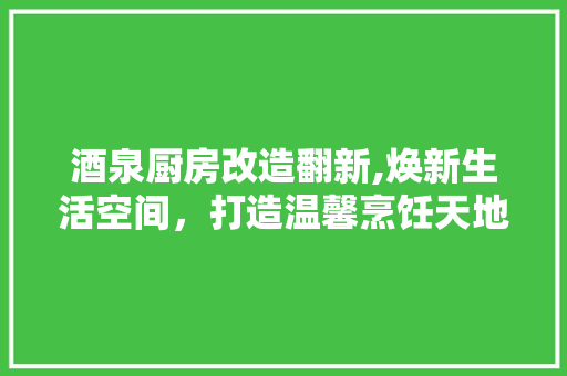 酒泉厨房改造翻新,焕新生活空间，打造温馨烹饪天地 家电维修