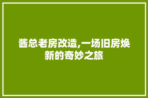 酱总老房改造,一场旧房焕新的奇妙之旅