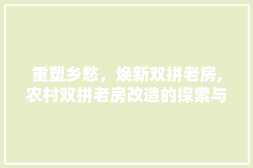 重塑乡愁，焕新双拼老房,农村双拼老房改造的探索与方法