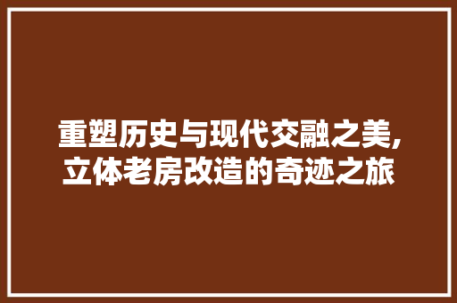 重塑历史与现代交融之美,立体老房改造的奇迹之旅 厨房维修