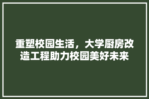 重塑校园生活，大学厨房改造工程助力校园美好未来 综合便民