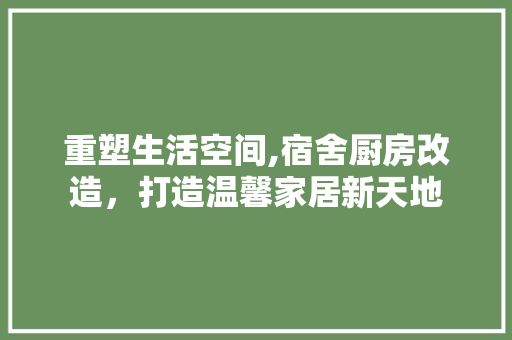 重塑生活空间,宿舍厨房改造，打造温馨家居新天地 墙体维修