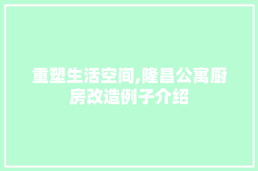 重塑生活空间,隆昌公寓厨房改造例子介绍 家电维修