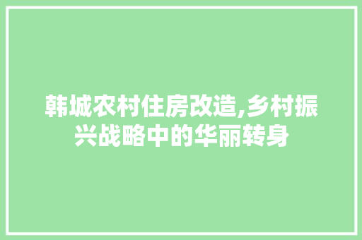 韩城农村住房改造,乡村振兴战略中的华丽转身 墙体维修