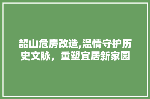 韶山危房改造,温情守护历史文脉，重塑宜居新家园 墙体维修