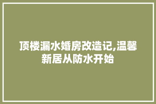 顶楼漏水婚房改造记,温馨新居从防水开始 汽车维修