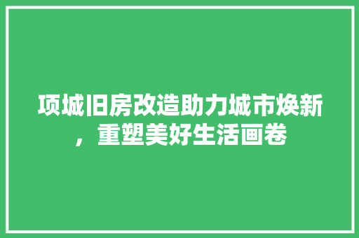 项城旧房改造助力城市焕新，重塑美好生活画卷 厨房维修