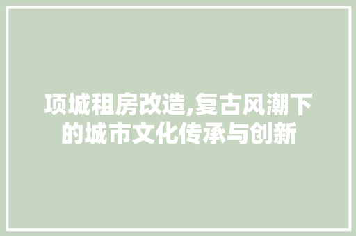 项城租房改造,复古风潮下的城市文化传承与创新 墙体维修