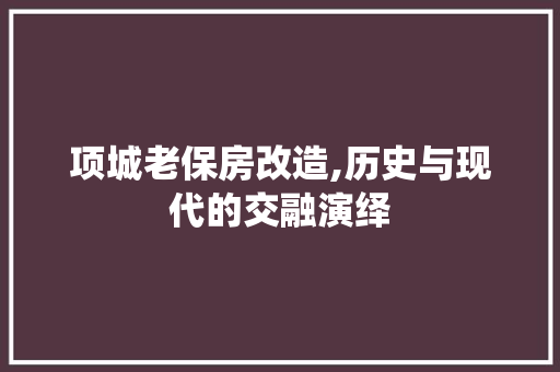 项城老保房改造,历史与现代的交融演绎 汽车维修