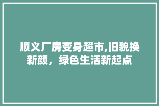 顺义厂房变身超市,旧貌换新颜，绿色生活新起点 综合便民