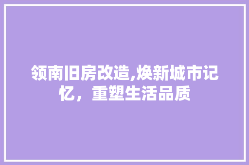 领南旧房改造,焕新城市记忆，重塑生活品质 综合便民