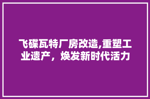 飞碟瓦特厂房改造,重塑工业遗产，焕发新时代活力 厨房维修