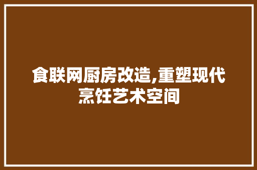 食联网厨房改造,重塑现代烹饪艺术空间 厨房维修