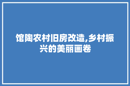 馆陶农村旧房改造,乡村振兴的美丽画卷 家电维修