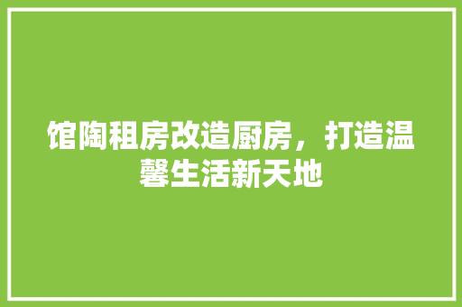 馆陶租房改造厨房，打造温馨生活新天地 墙体维修