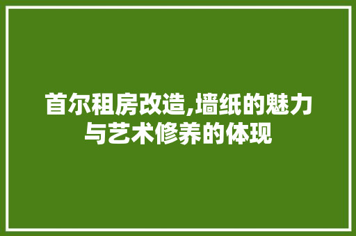 首尔租房改造,墙纸的魅力与艺术修养的体现 家电维修